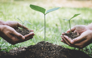 Collective action the focus for final sustainability hui